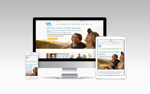 VIA-Website-Mockup